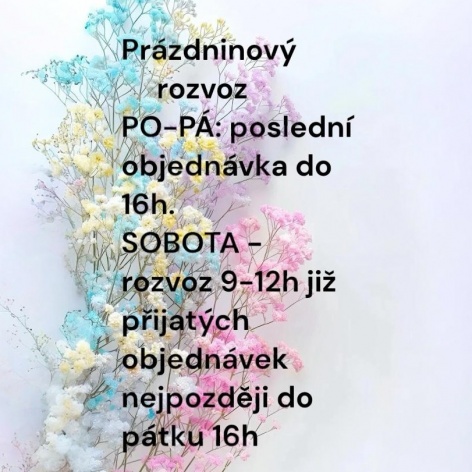 Prázdninový rozvoz